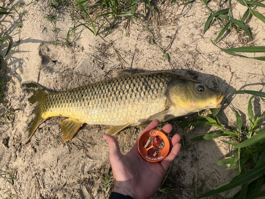 Rodless Reel - Handline (Sunburst)